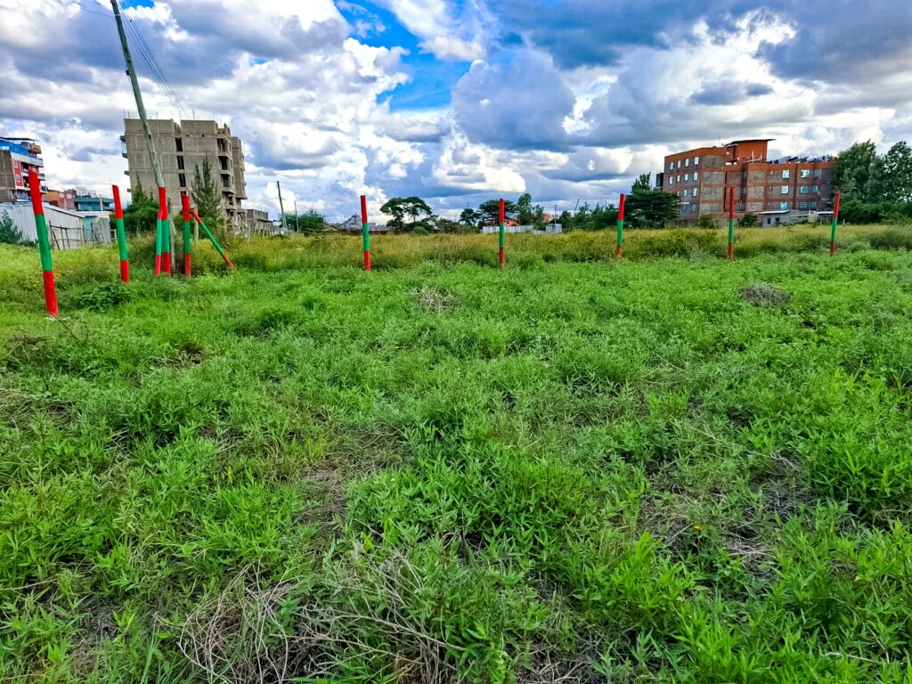 Joska Commercial Plots