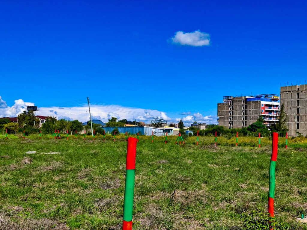 Joska Commercial Plots