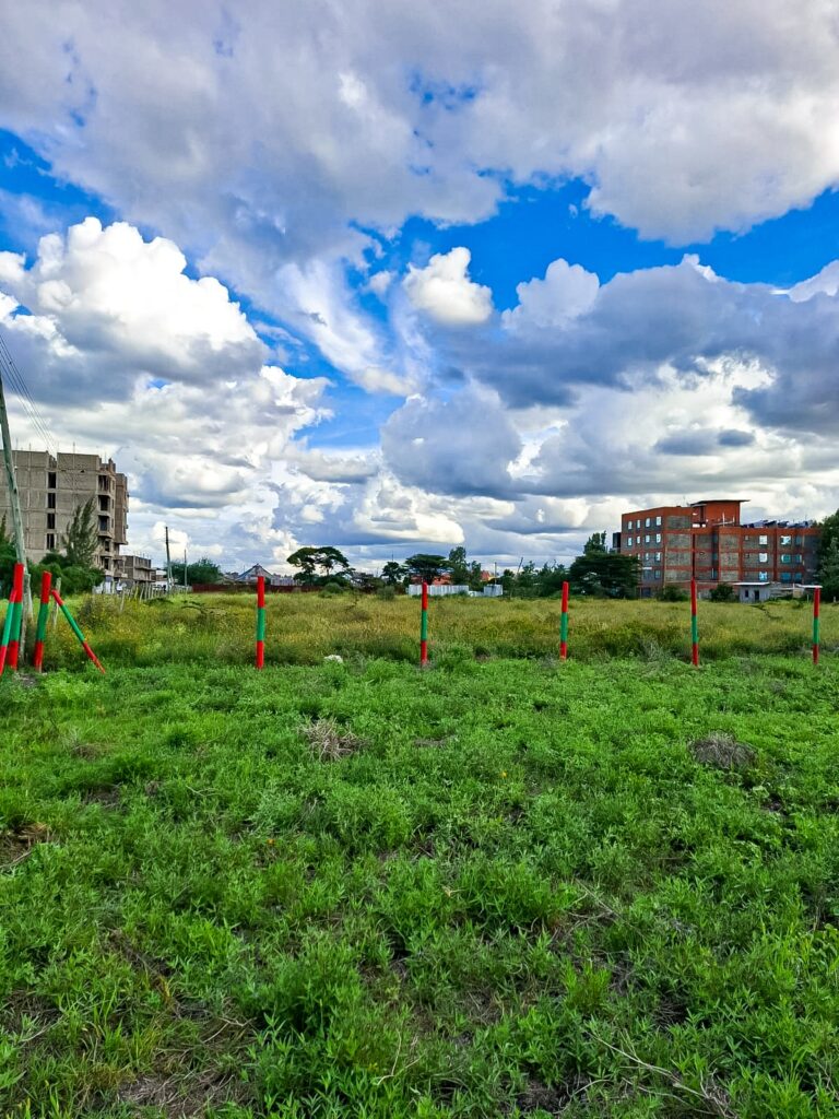 Joska Commercial Plots