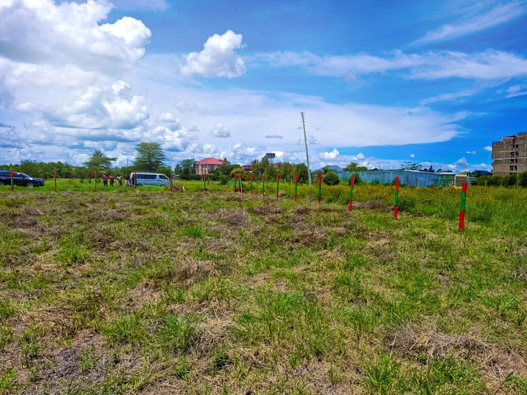 Joska Commercial Plots