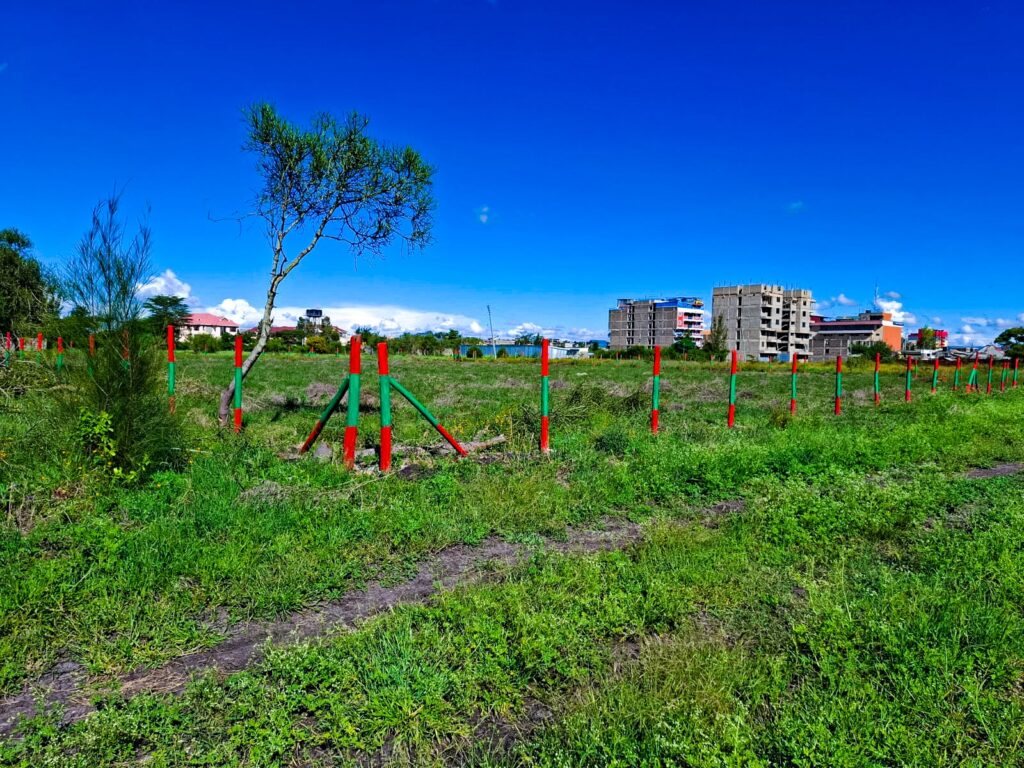 Joska Commercial Plots