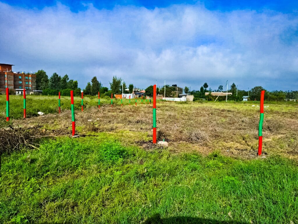 Joska Commercial Plots